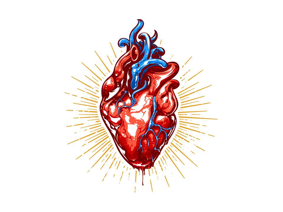 Heart Image